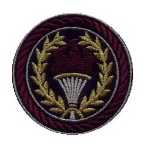 Emblema Institucional Brasão Azevinho dourado